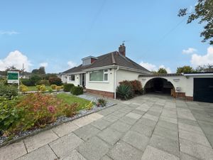 Photo 22- click for photo gallery